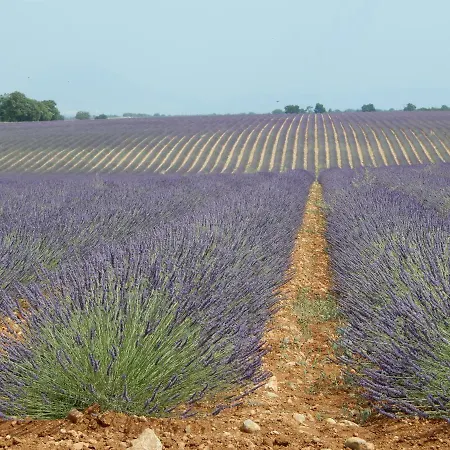 Le Colombier *